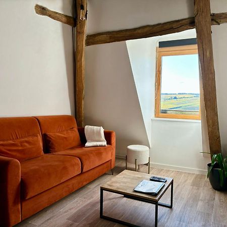 Appartement Cosy Vue Sur Le Vignoble Sancerre Eksteriør bilde