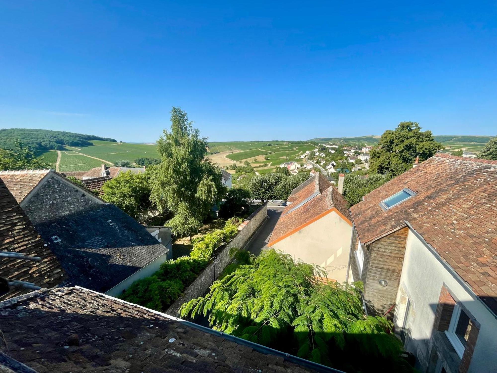 Appartement Cosy Vue Sur Le Vignoble Sancerre Eksteriør bilde