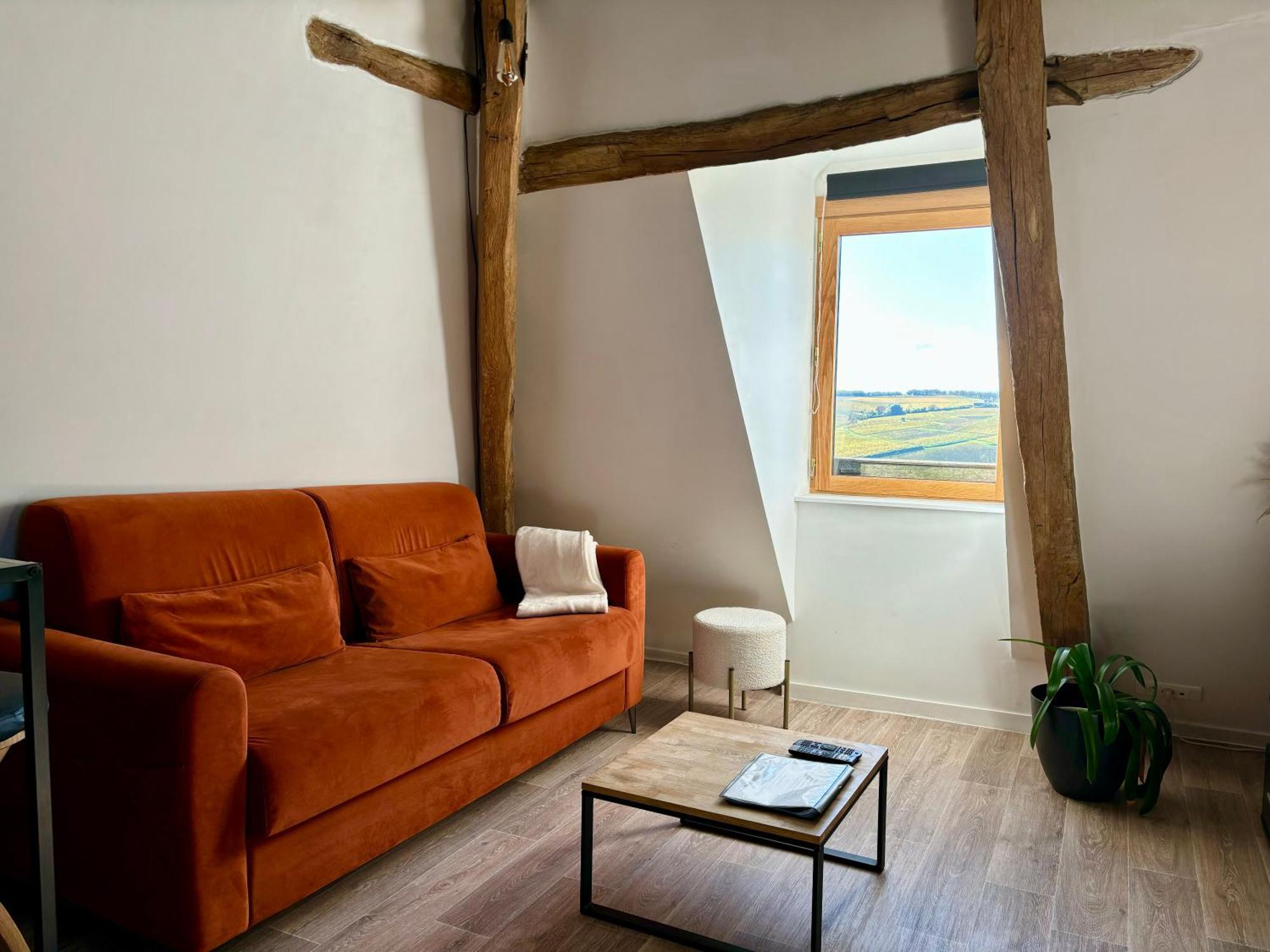 Appartement Cosy Vue Sur Le Vignoble Sancerre Eksteriør bilde
